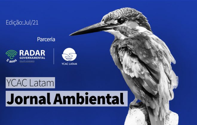 YCAC Latam: Jornal Ambiental Latino (julho 2021)