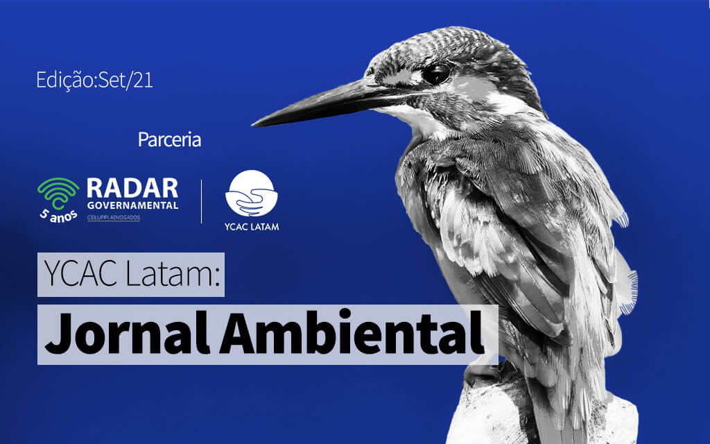 YCAC Latam: Jornal Ambiental Latino (setembro 2021)